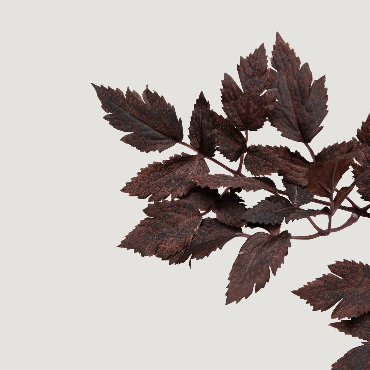 Artificial Plum Cimicifuga Ramosa Leaves - 31"