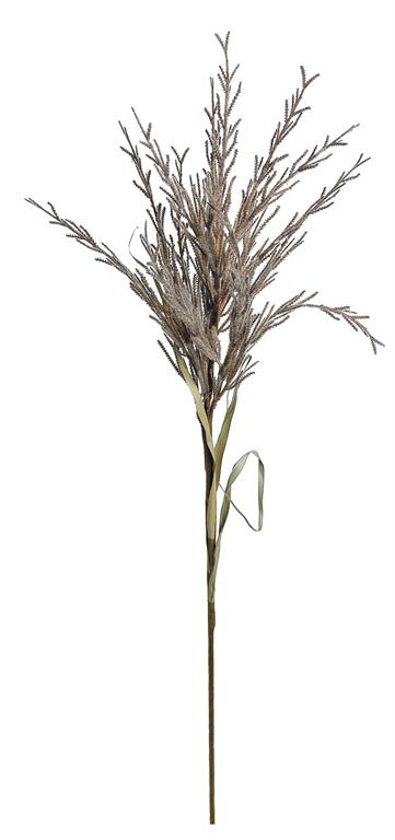 MOP GRASS SPRAY, 39", BROWN