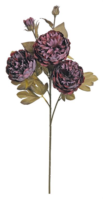 HARVEST PEONY X3 WITH 2 BUDS, 26", PLUM