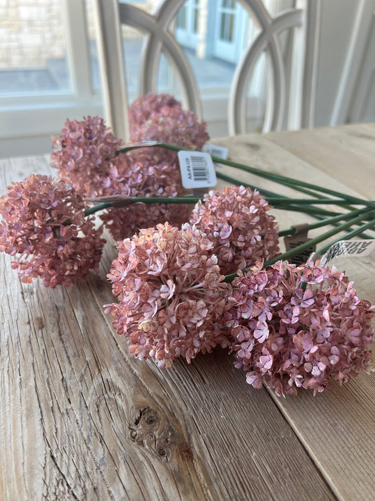 Buddleia Blush Stem