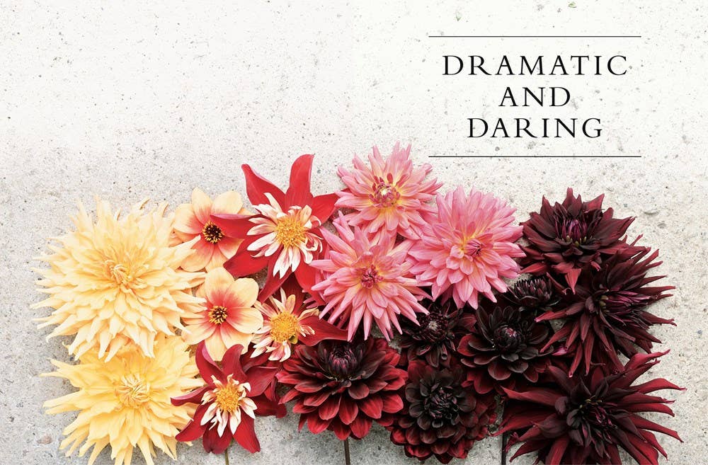 Dahlias; Beautiful Varieties for Home & Garden (hardcover)