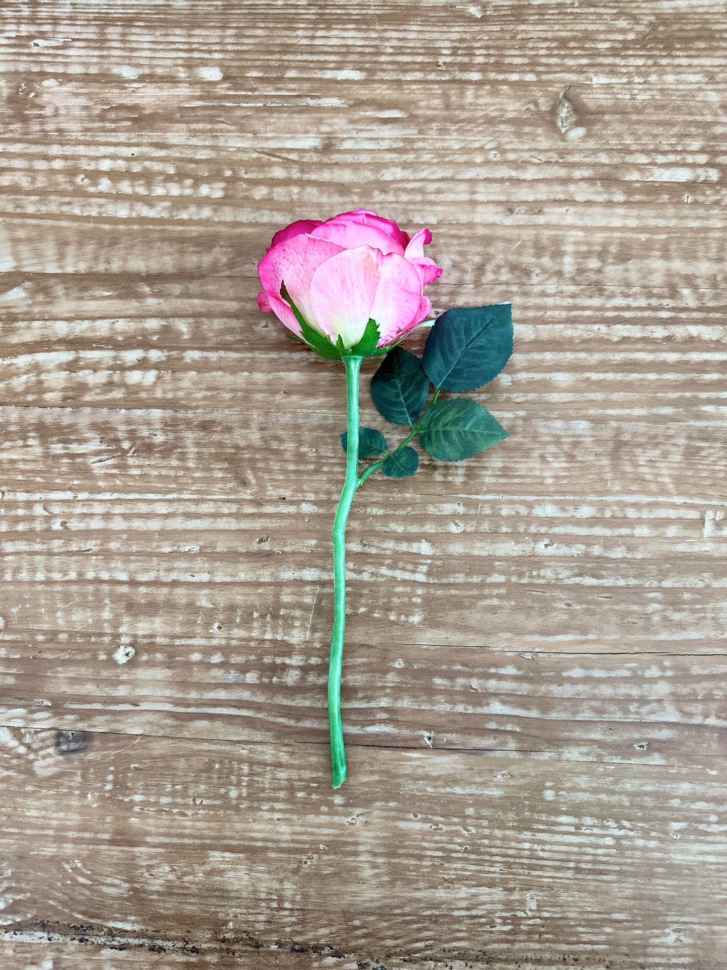 13" Rose Stem in Dark Pink