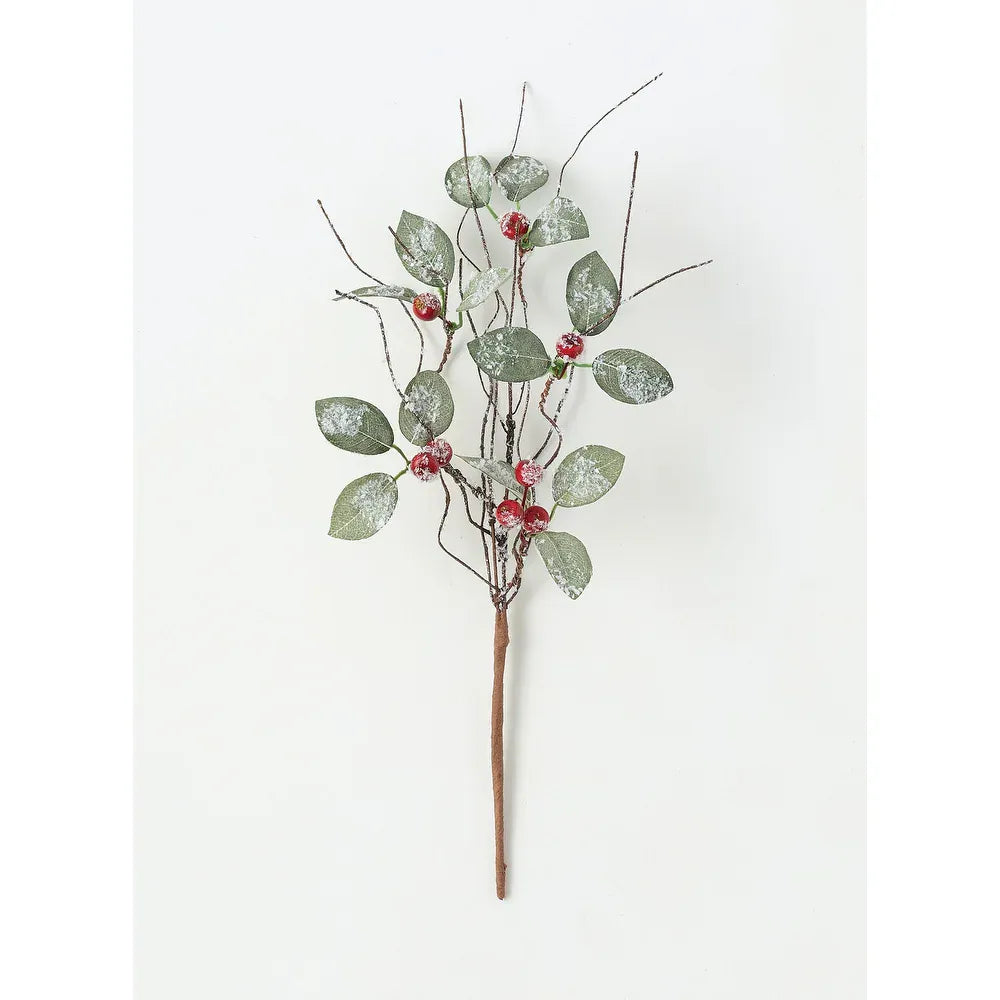 Frosted Leaves and Berry Pick