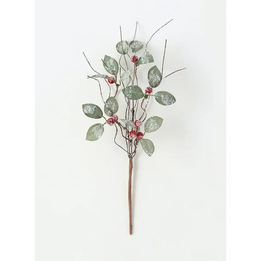 Frosted Leaves and Berry Pick