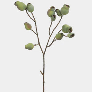 Artificial Eucalyptus Pods 24.5"