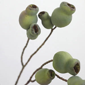 Artificial Eucalyptus Pods 24.5"