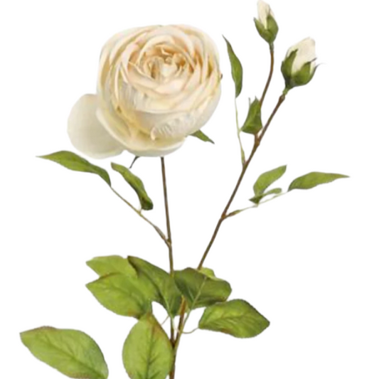 Harvest Rose With Buds, 27", Linen