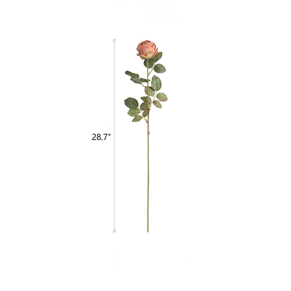Single pink rose with green leaves on a white background, labeled with a measurement of 28.7 inches.