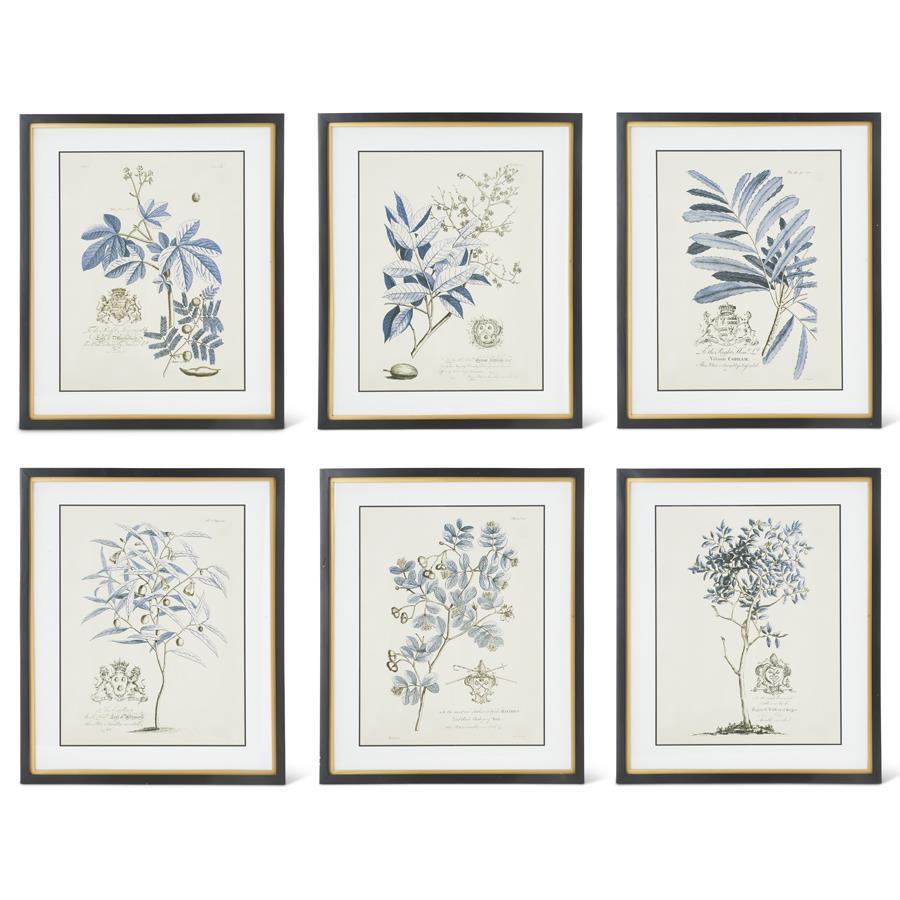 Set of six framed botanical prints on a white background