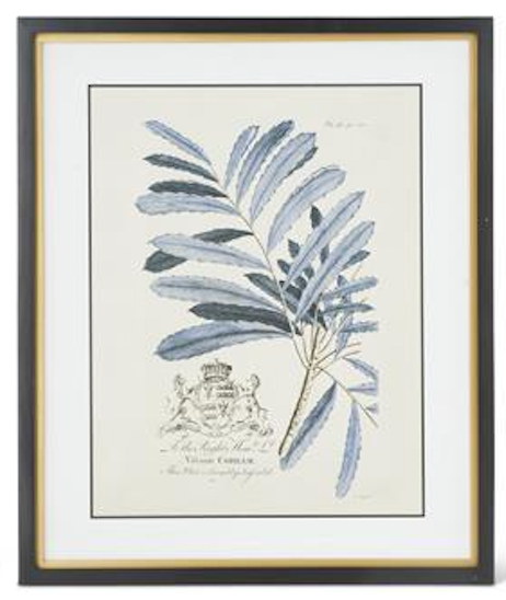 Framed botanical print with blue leaves and a crest on a white background