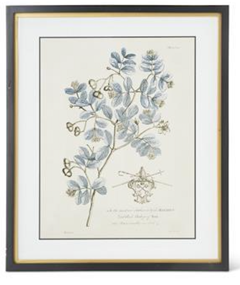 Framed botanical illustration with blue leaves and gold accents on a white background