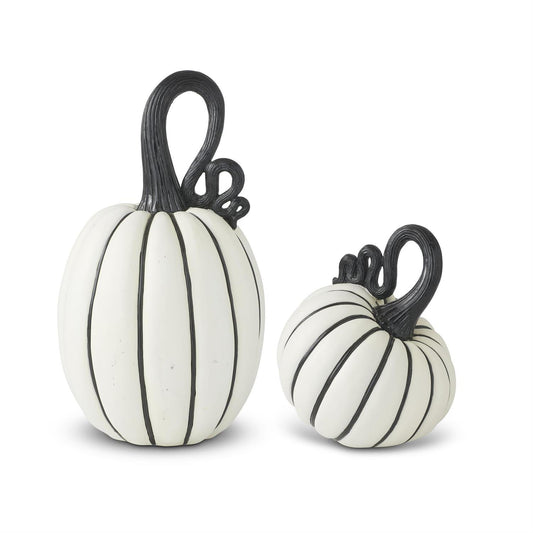 Black_White_Striped_Pumpkin