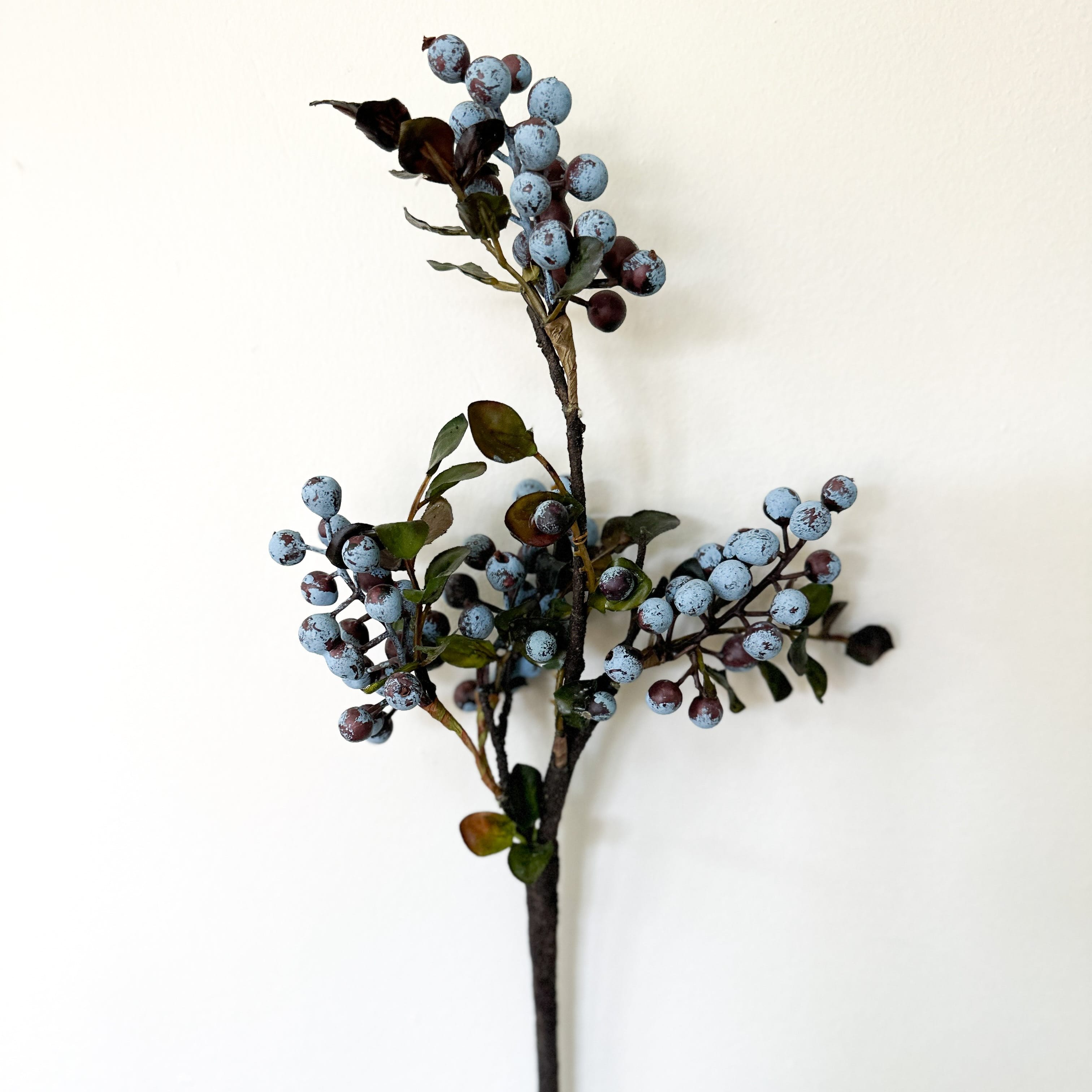 Blueberry Loop Cluster Stems 17