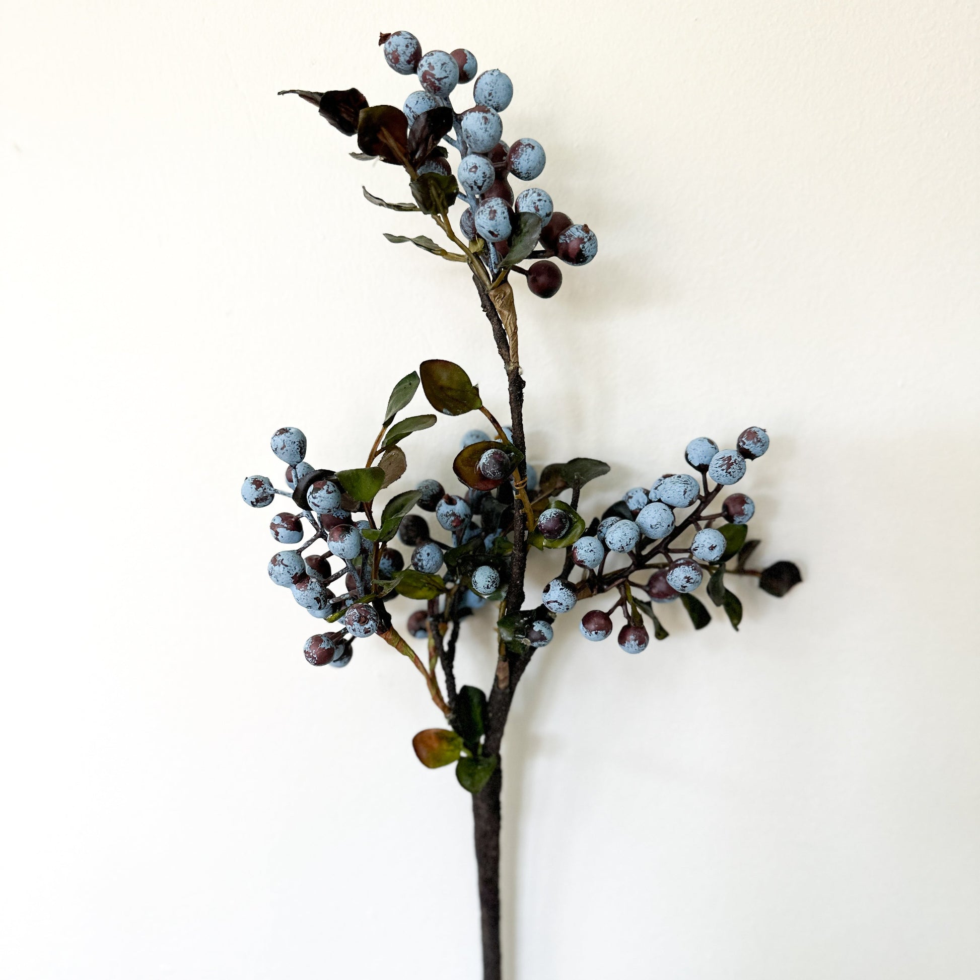 Blueberry loop Cluster Stems 17"