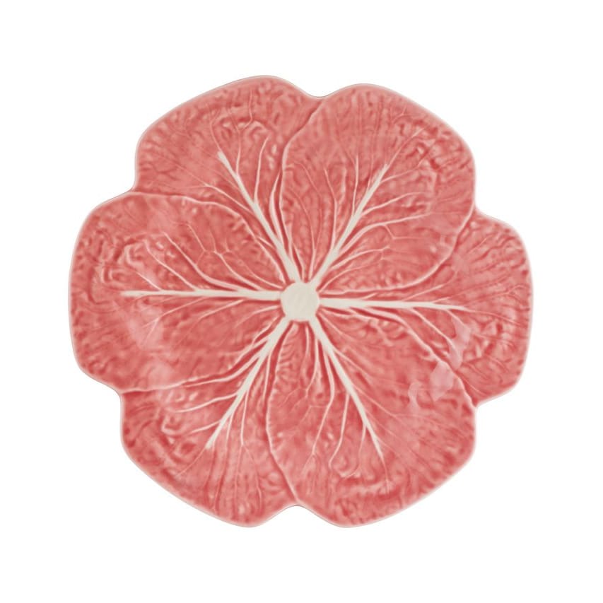 Close-up of pink cabbage leaf plate on a white background