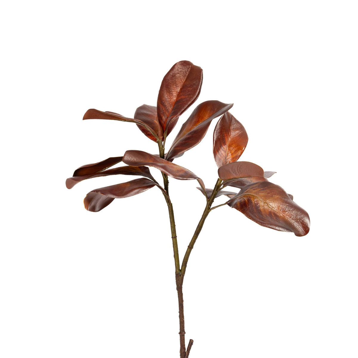 Bourbon_Magnolia_Leaf_Spray