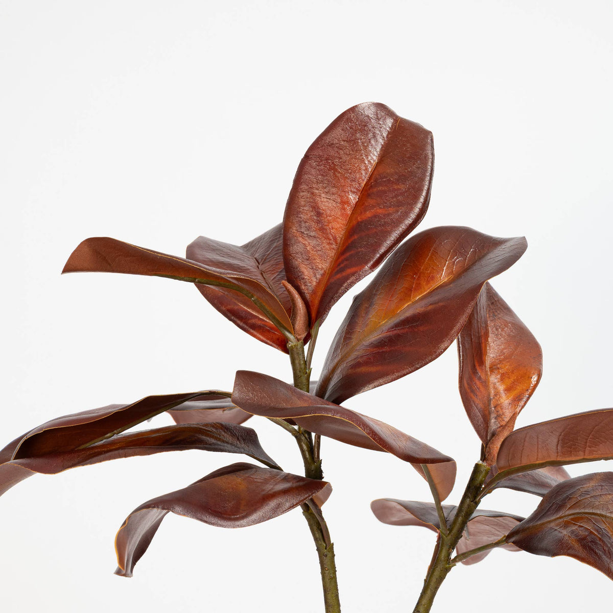 Bourbon_Magnolia_Leaf_Spray