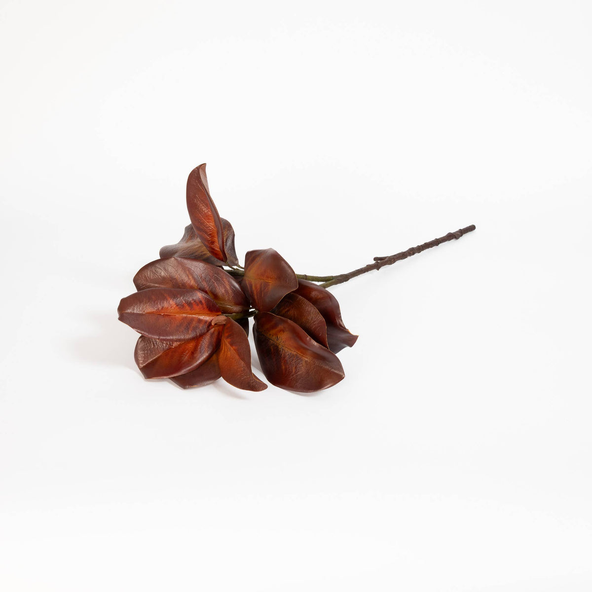 Bourbon_Magnolia_Leaf_Spray