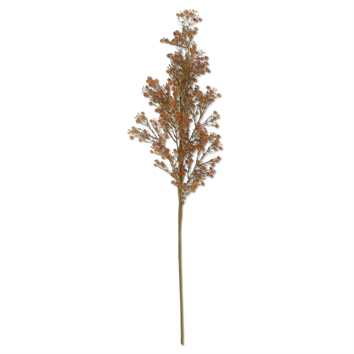 Brown_Babys_Breath