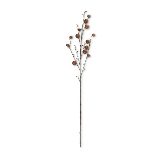 Brown_Pod_Stem