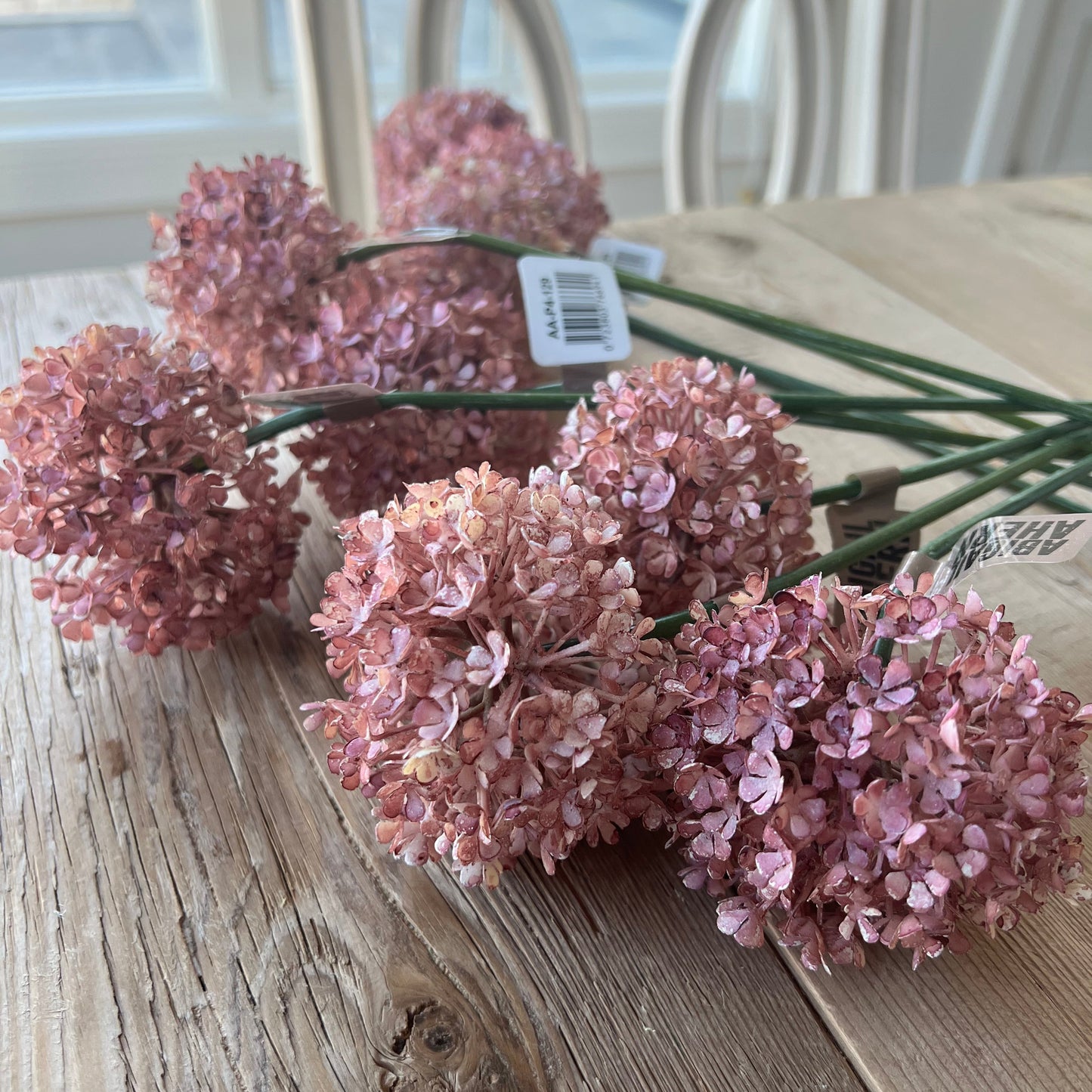 Buddleia Blush Stem