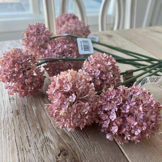 Buddleia Blush Stem