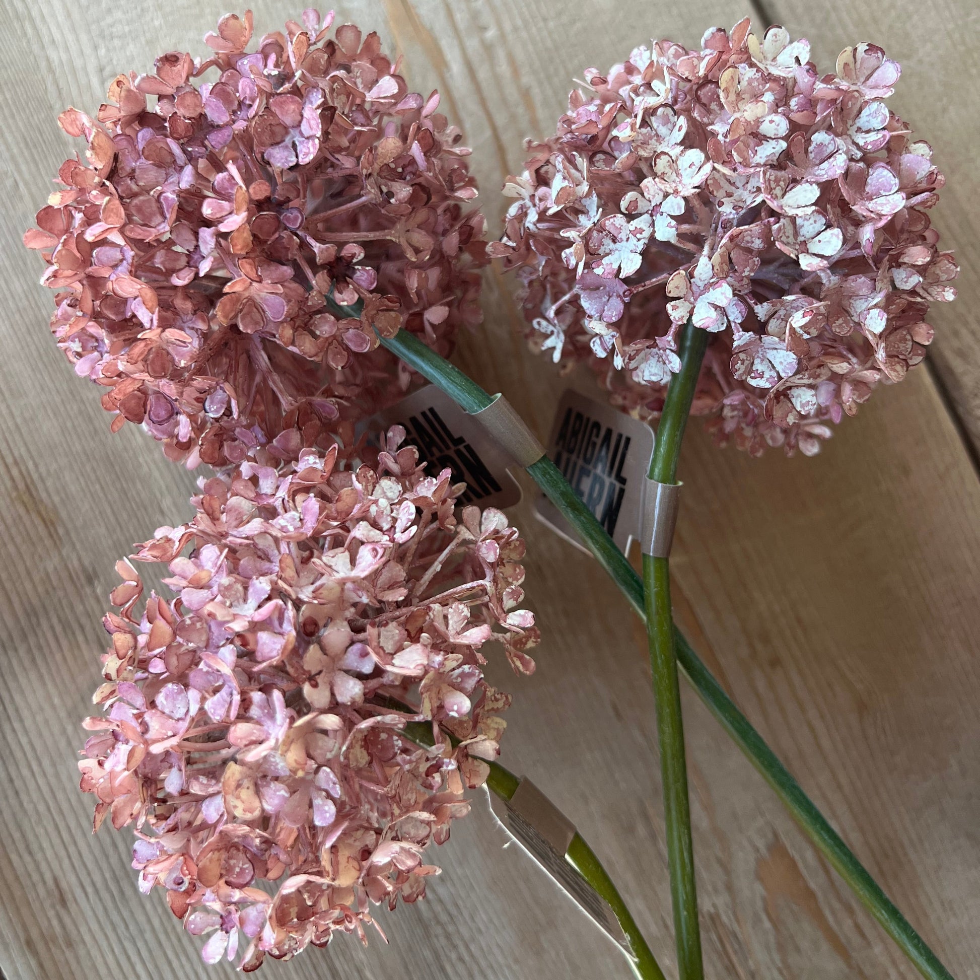 Buddleia Blush Stem