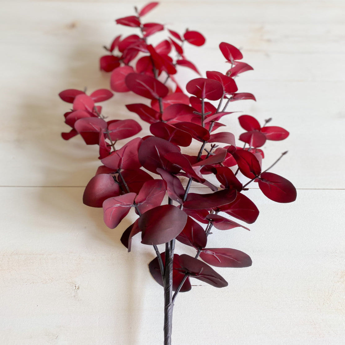 Red artificial eucalyptus branch on a light wooden background