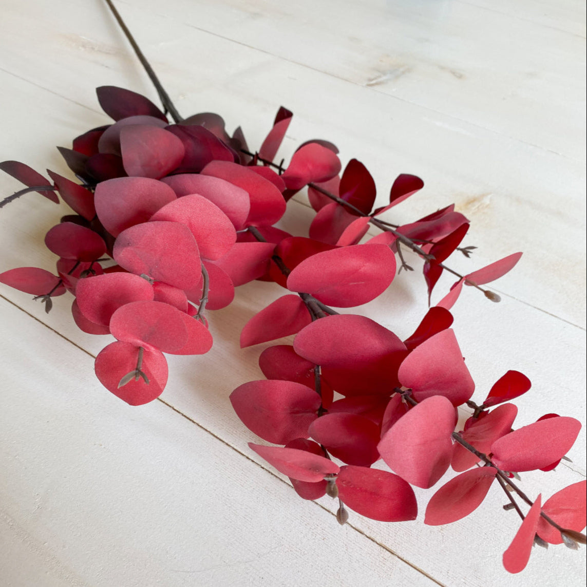 Red artificial eucalyptus leaves on a white wooden surface