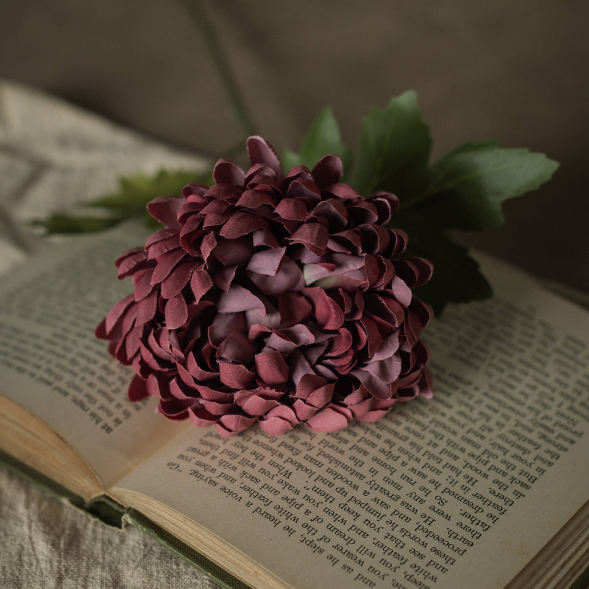 Burgundy_Mum_Spray