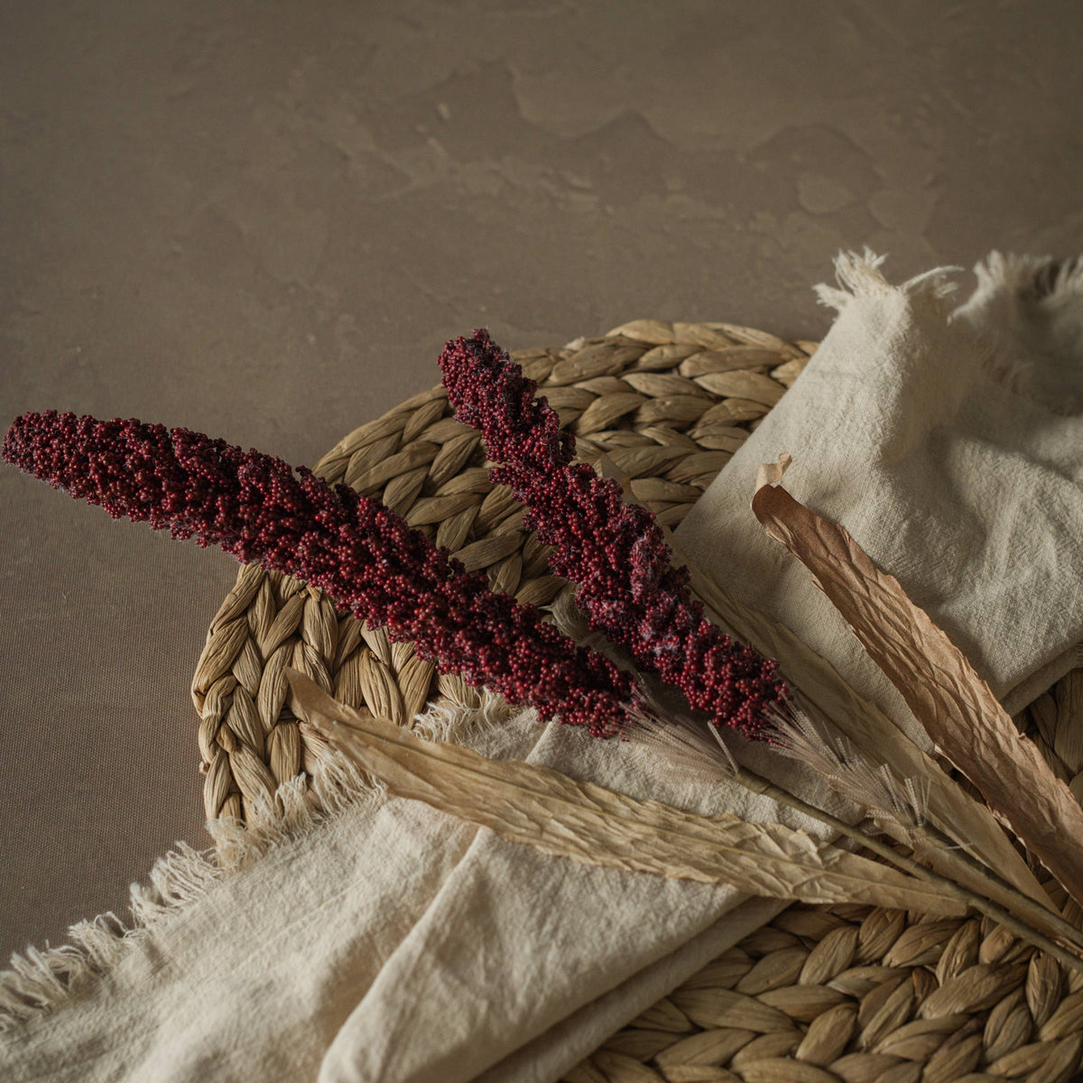 Burgundy_Sorghum_Spray