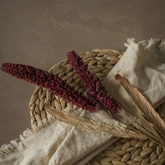 Burgundy_Sorghum_Spray