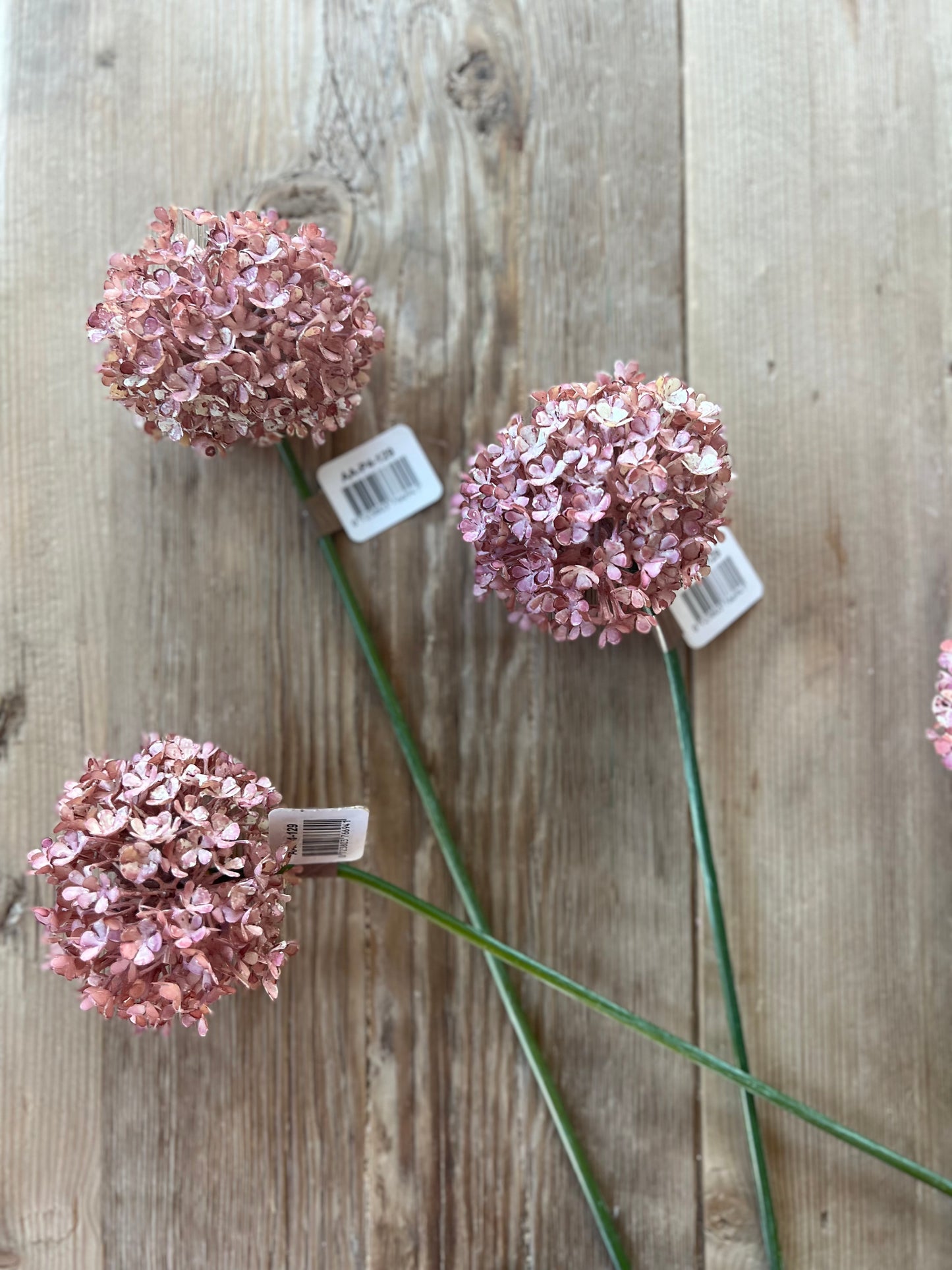 Buddleia Blush Stem