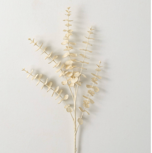A cream-colored eucalyptus spray with realistic details, arranged on a white background.