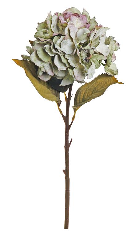 DRIED GARDEN HYDRANGEA, 18", SAGE/PLUM