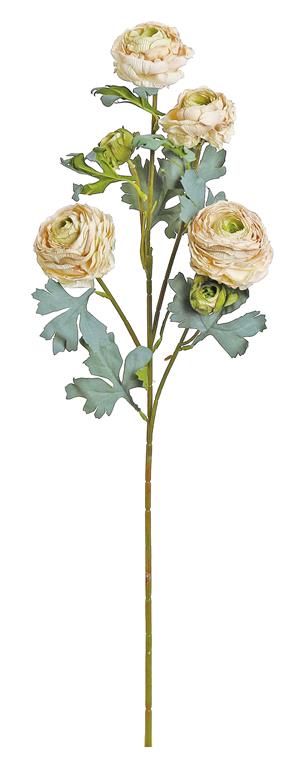 SUMMER DRIED RANUNCULUS SPRAY X6, 30", BLUSH