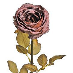DRIED GARDEN ROSE 29", BURGUNDY