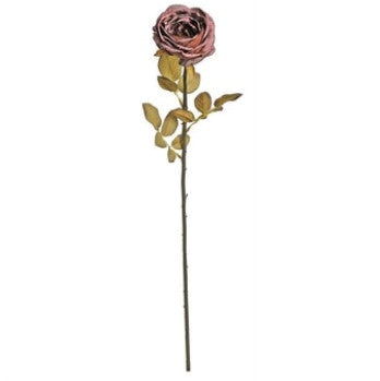 DRIED GARDEN ROSE 29", BURGUNDY