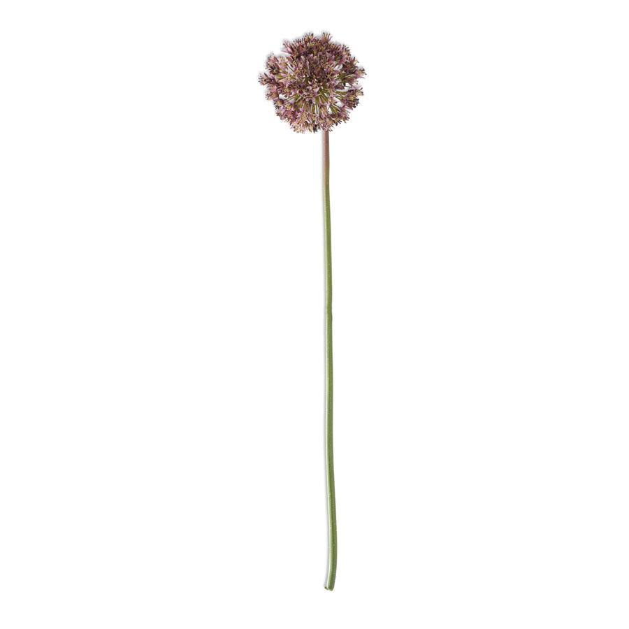 Dark Purple Allium Stem 30" - Single Stem Artificial Flower
