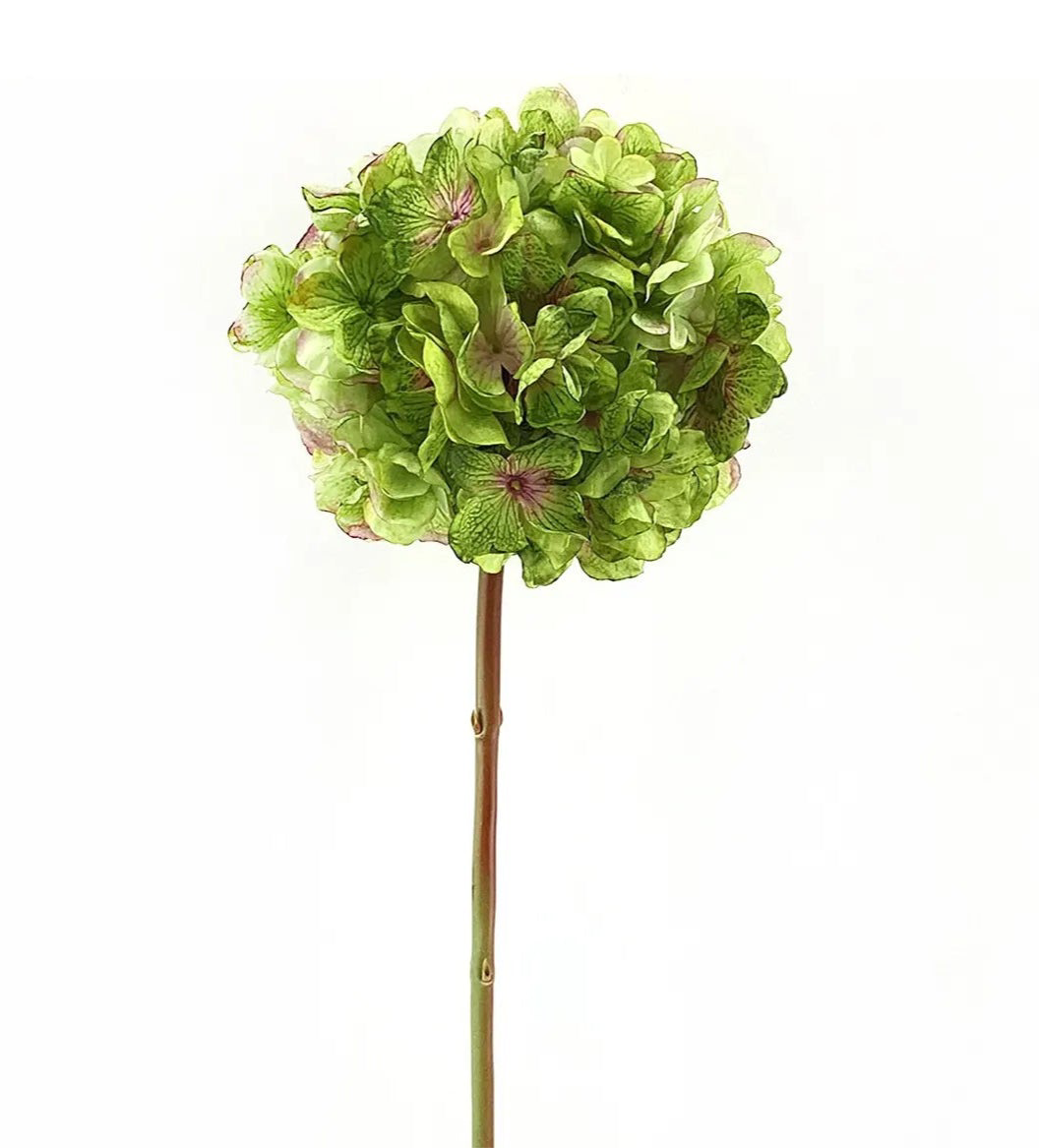 Dried Touch Hydrangea Stem Green 30"