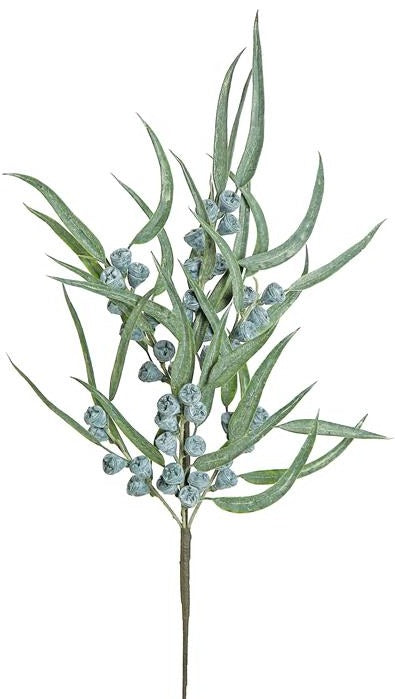 NARROW LEAF EUCALYPTUS & POD SPRAY, 21", SAGE