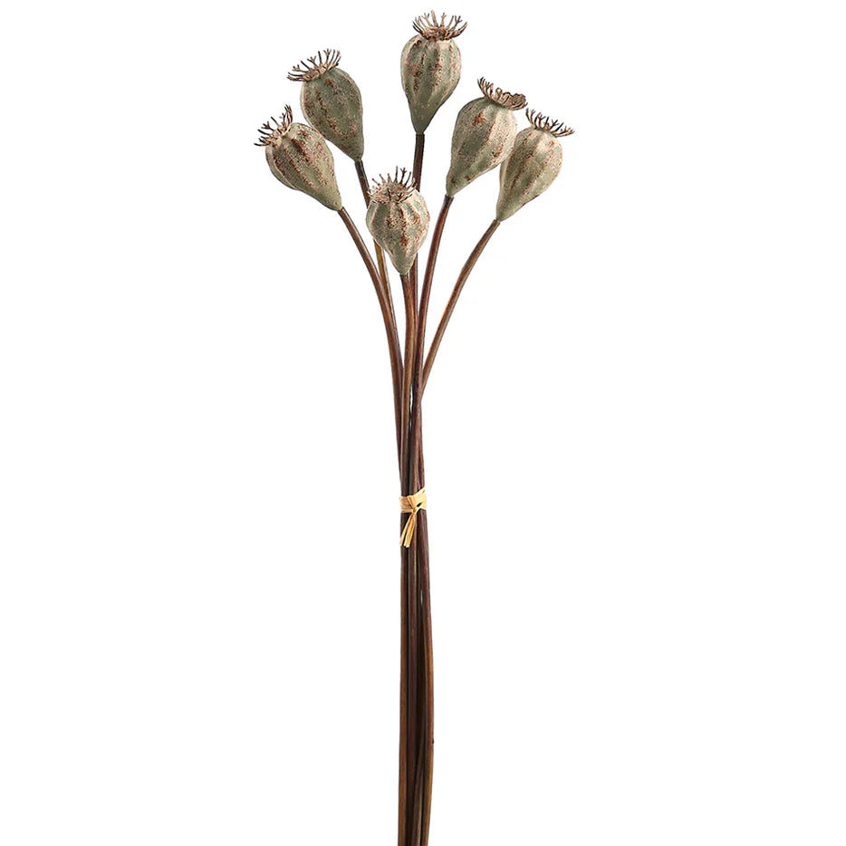 18" Artificial Poppy Pod Flower - 6 Stems