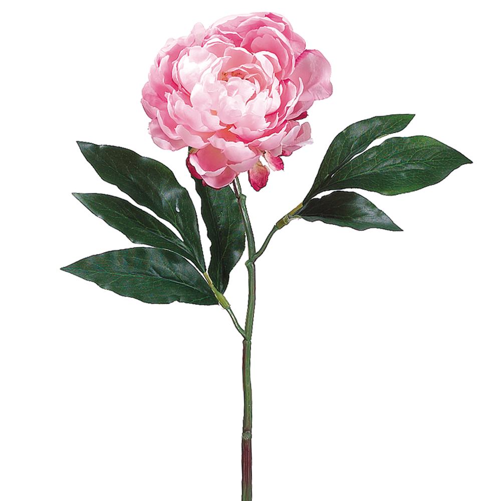 18.5" Peony Spray - Two Tone Pink