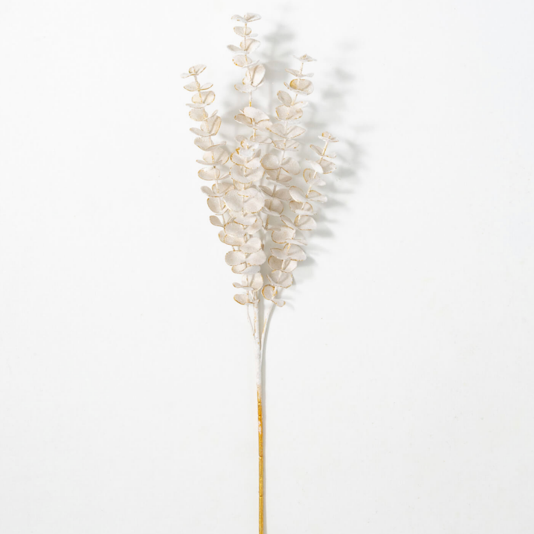 A single stem of frosted gold eucalyptus spray against a white background.