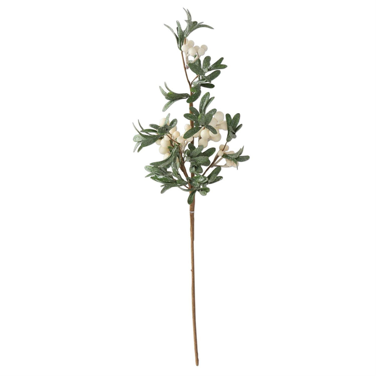 Glittered_Leaf_Stem_With_White_Berries