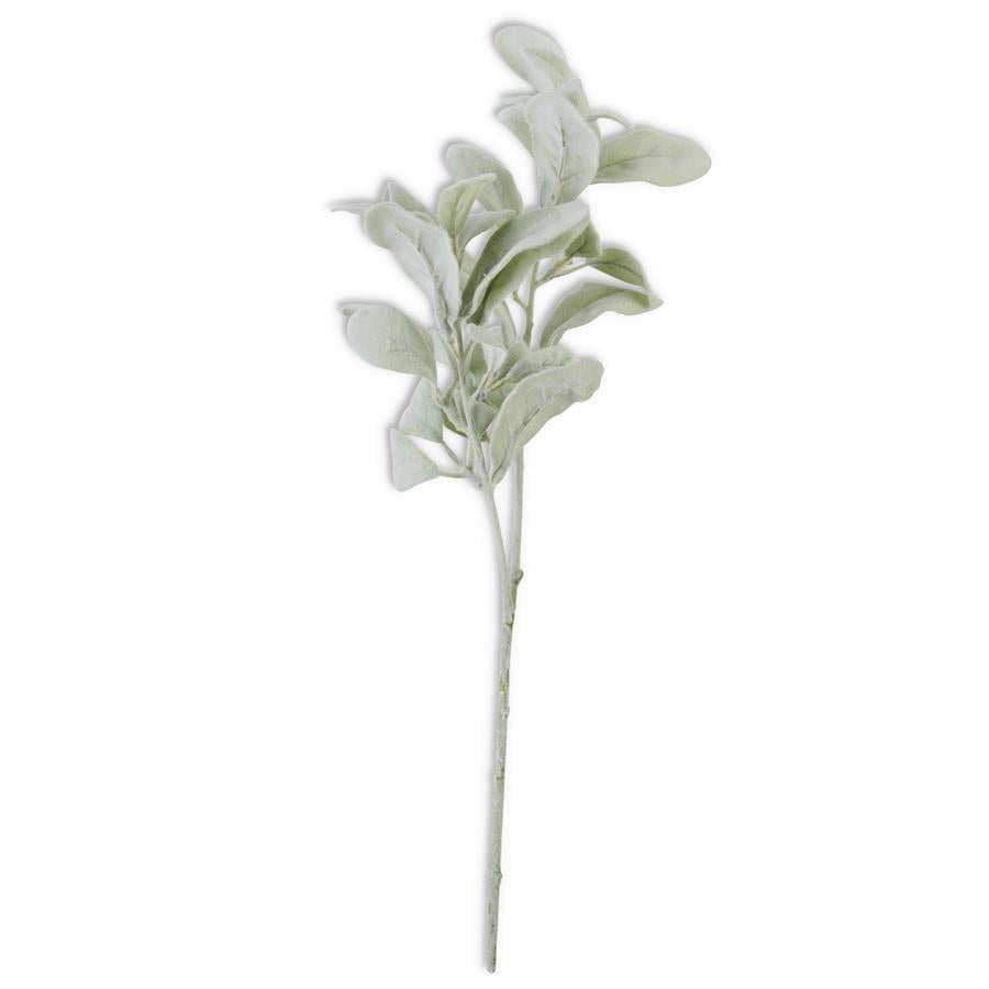 A single 20-inch faux lambs ear stem with a velvety texture and a greenish hue.