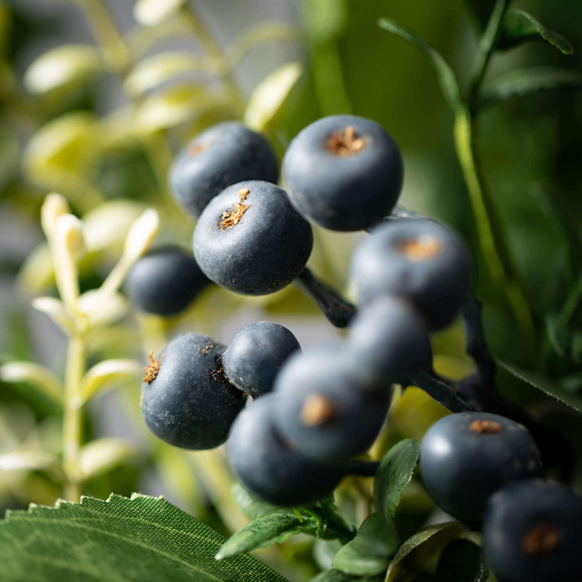 Green Leaf Blueberry Wreath
