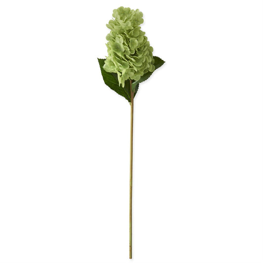 Artificial green hydrangea flower stem on a white background