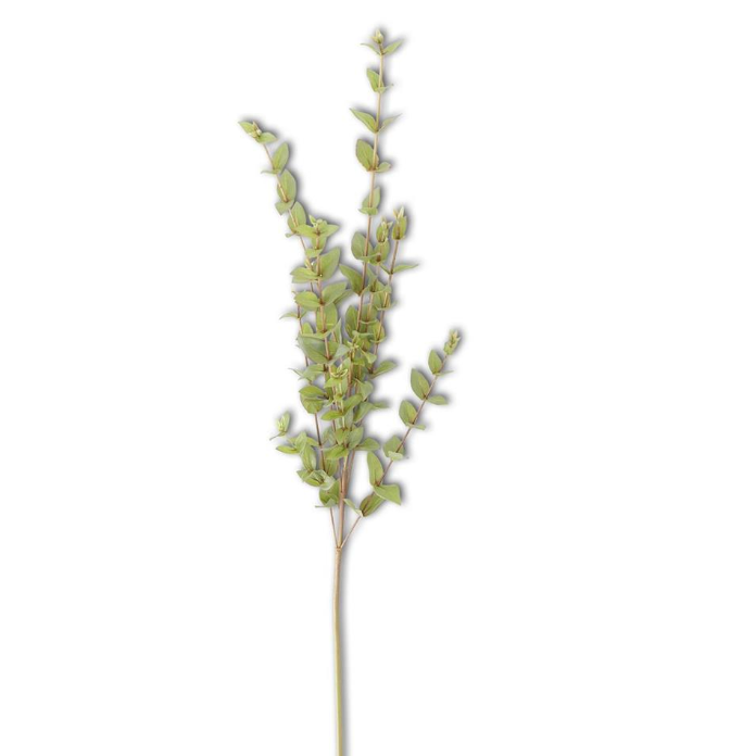 A single stem of artificial eucalyptus with a heart shape formed by its leaves against a white background.