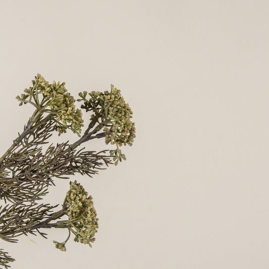 Green_Yarrow_Pick